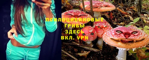 герыч Зеленокумск